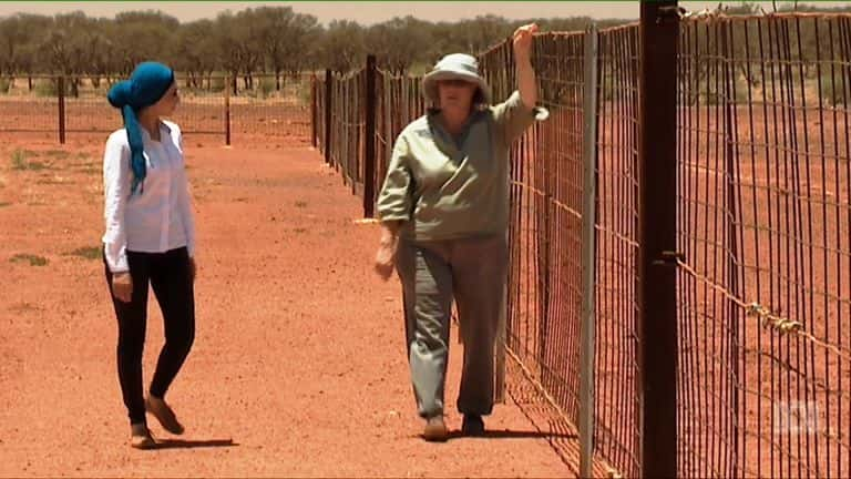 ¼ƬĴǵտ Running Wild Australia's CamelsĻ/Ļ