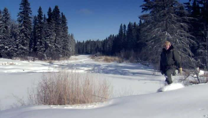 ¼Ƭ Northern Wilderness720Pȫ6-Ļ/Ļ