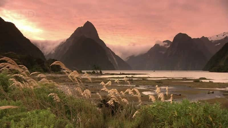 ¼ƬҰ New Zealand - A Wild EncounterĻ/Ļ