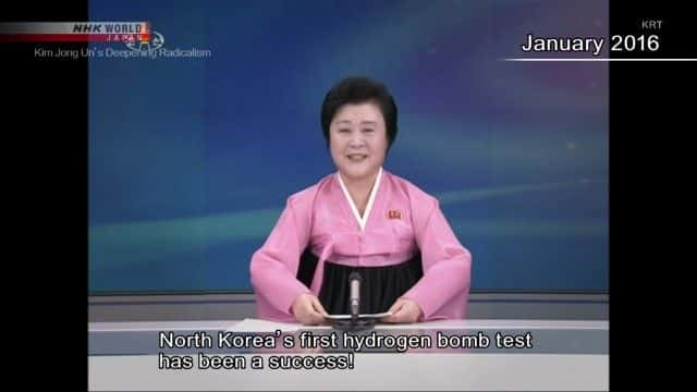 纪录片《朝鲜：金正恩的激进主义不断加深 North Korea: Kim Jong Un's Deepening Radicalism》[无字][BT][1080P]资源下载