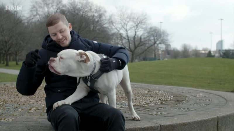 ¼ƬֽڣΣյĹ Professor Green: Dangerous DogsĻ/Ļ