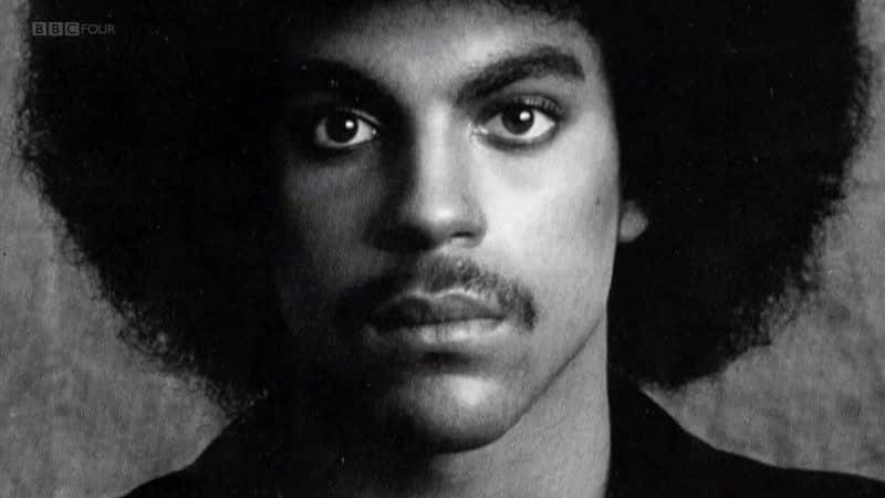 ¼Ƭӣɫ (BBC) Prince: A Purple Reign (BBC)ȫ1-Ļ/Ļ