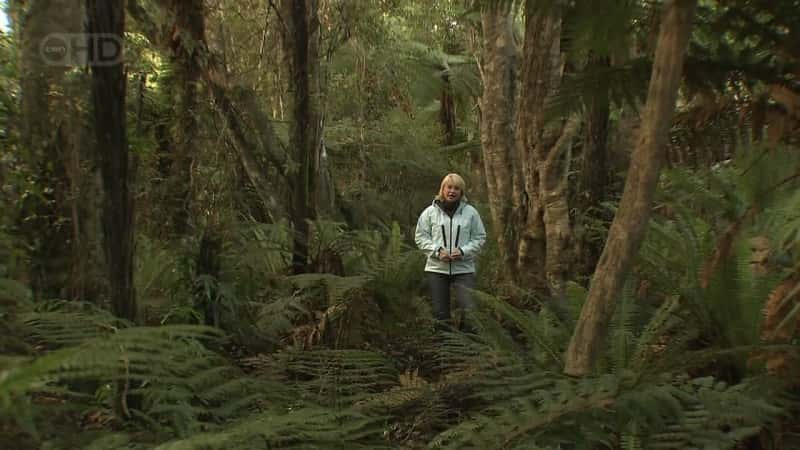 ¼ƬҰ New Zealand - A Wild EncounterĻ/Ļ