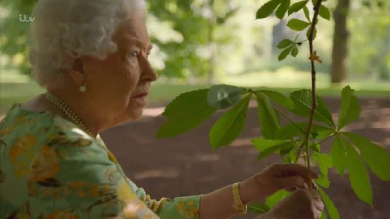 纪录片《皇后区绿色星球 The Queens Green Planet》[无字] [BT][DVD画质]资源下载