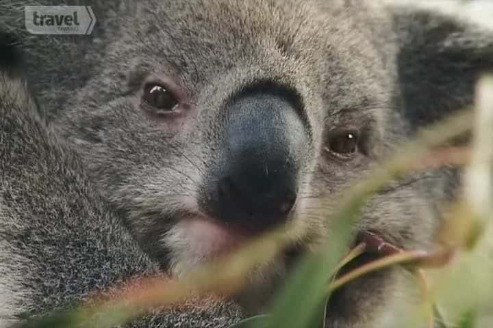 ¼ƬаĴ Riding AustraliaĻ/Ļ