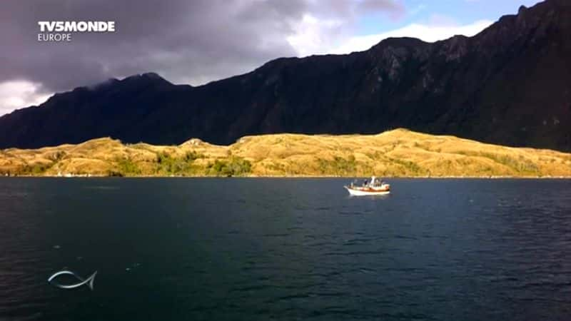 ¼Ƭ᣺Ȼ Patagonie: Nature Extremeȫ1-Ļ/Ļ