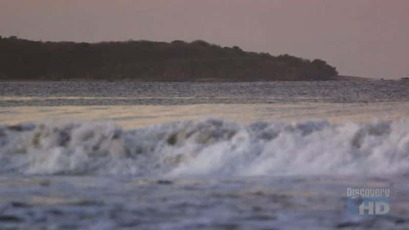 ¼ƬǸ Playa Grande MoonsetĻ/Ļ