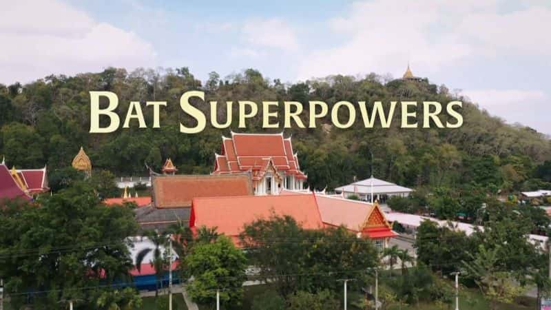 ¼Ƭǣ Nova : Bat Superpowers1080P-Ļ/Ļ