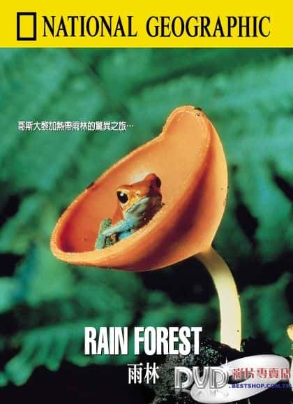 纪录片《雨林 Rain Forest》[无字][BT][1080P]资源下载