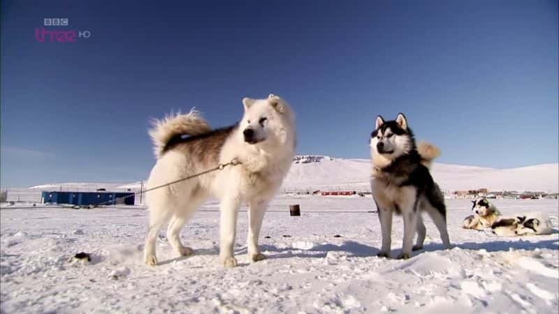 纪录片《极地挑战 Polar Challenge》[无字][BT][720P]资源下载