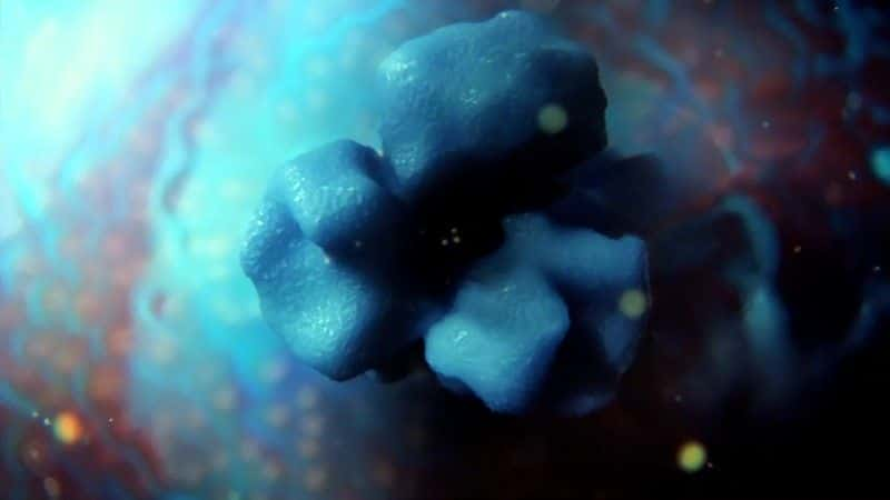 纪录片《我们的秘密宇宙：细胞的隐藏生命 (BBC) Our Secret Universe: The Hidden Life of the Cell (BBC)》[无字][BT][720P]资源下载