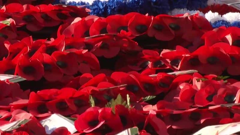 纪录片《阵亡将士纪念日：纪念碑（BBC） Remembrance Sunday: The Cenotaph (BBC)》[无字] [BT][DVD画质]资源下载