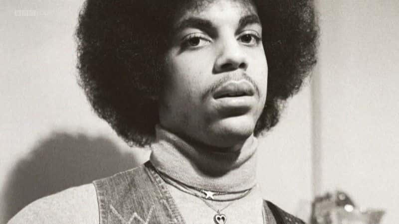 ¼Ƭӣɫ (BBC) Prince: A Purple Reign (BBC)ȫ1-Ļ/Ļ