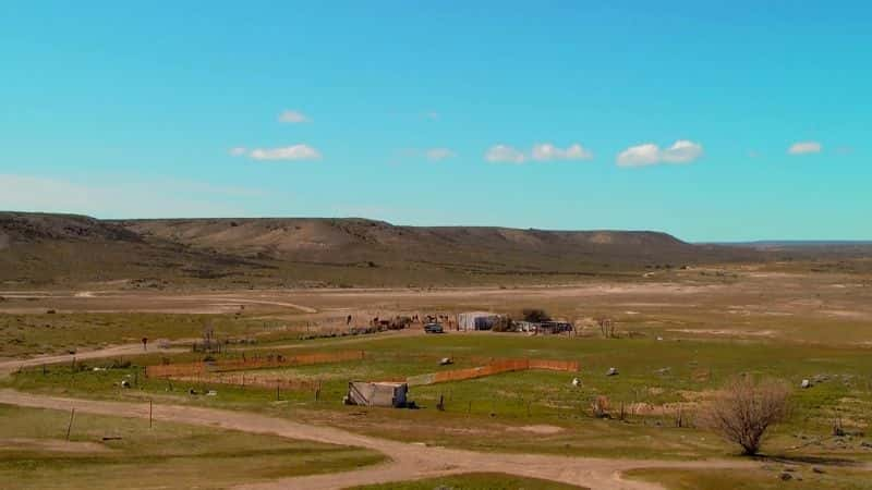 ¼Ƭǣ׷˹ĵĽŲ Patagonia: In the Footsteps of Charles Darwin1080P-Ļ/Ļ