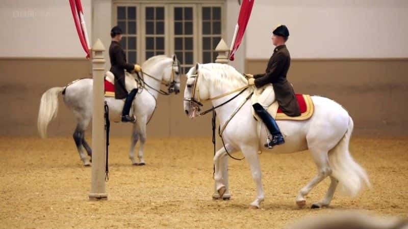 ¼ƬȨ Reins of Power: The Art of Horse Dancingȫ1-Ļ/Ļ