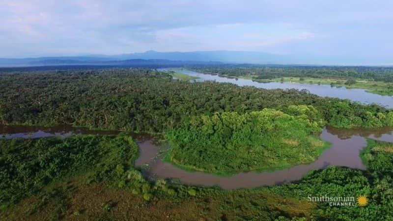 纪录片《巴拿马的动物高速公路 Panama's Animal Highway》[无字][BT][1080P]资源下载