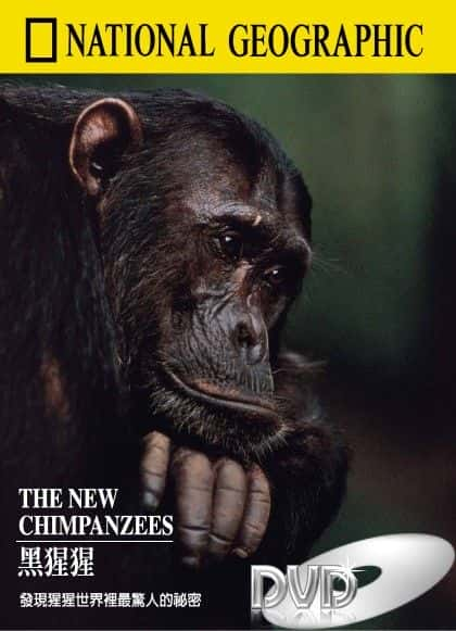 ¼Ƭº The New ChimpanzeesĻ/Ļ