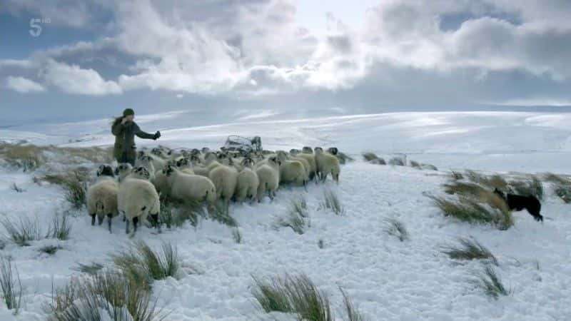 纪录片《我们的约克郡农场：在 Ravenseat 的 5 年 Our Yorkshire Farm: 5 Years at Ravenseat》[无字][BT][720P]资源下载