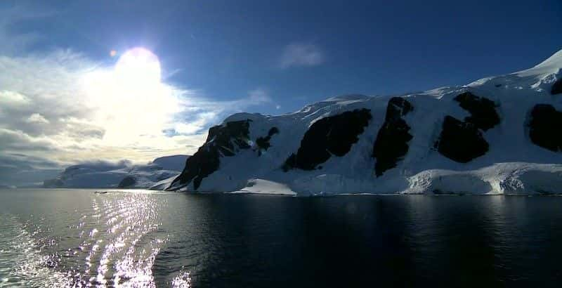 ¼Ƭ۲ The Penguin Watchers1080Pȫ1-Ļ/Ļ