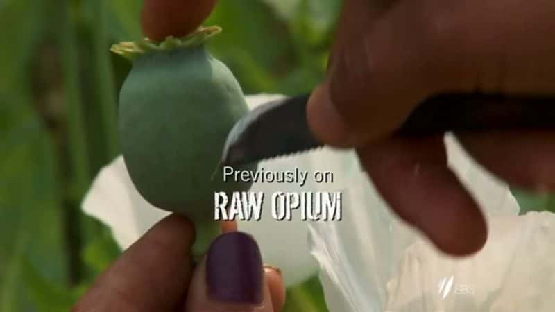 ¼ƬѻƬ Raw Opium1080P-Ļ/Ļ