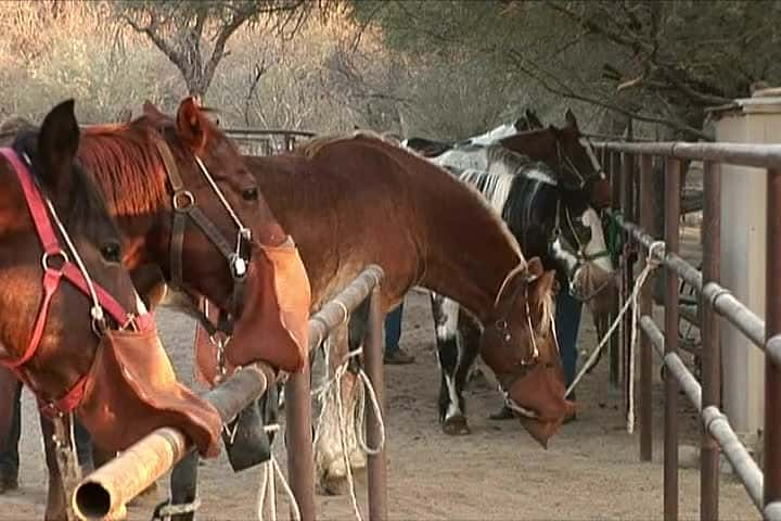 纪录片《驰骋美国沙漠 Riding the American Deserts》[无字] [BT][DVD画质]资源下载