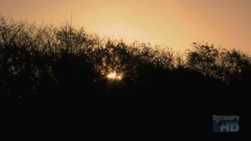 ¼ƬǸ Playa Grande MoonsetĻ/Ļ