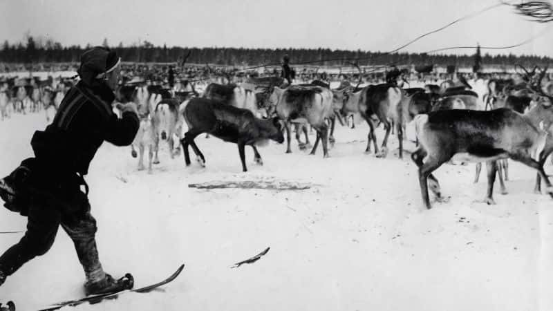 ¼ƬҺѱ¹ Reindeer Family and Me1080P-Ļ/Ļ