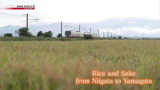 纪录片《从新泻到山形的大米和清酒 Rice and Sake from Niigata to Yamagata》[无字] [BT][DVD画质]资源下载