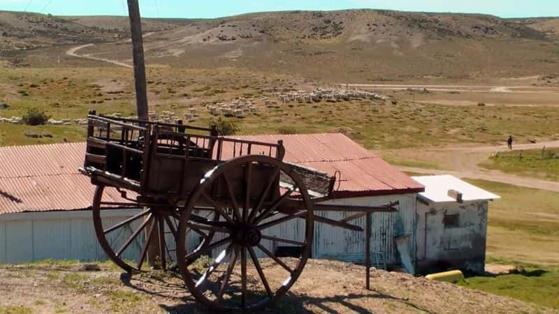 ¼Ƭǣ׷˹ĵĽŲ Patagonia: In the Footsteps of Charles Darwin1080P-Ļ/Ļ