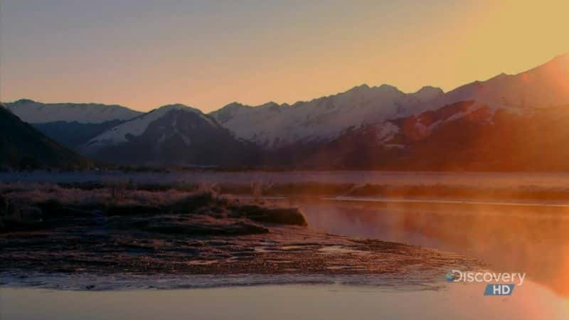 ¼Ƭ˪ New Zealand FrostĻ/Ļ