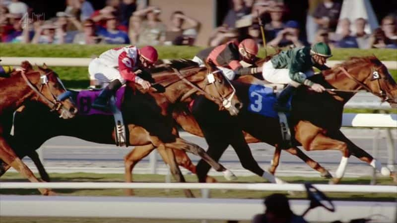 纪录片《赛马（第四章） Racehorse (Ch4)》[无字][BT][720P]资源下载