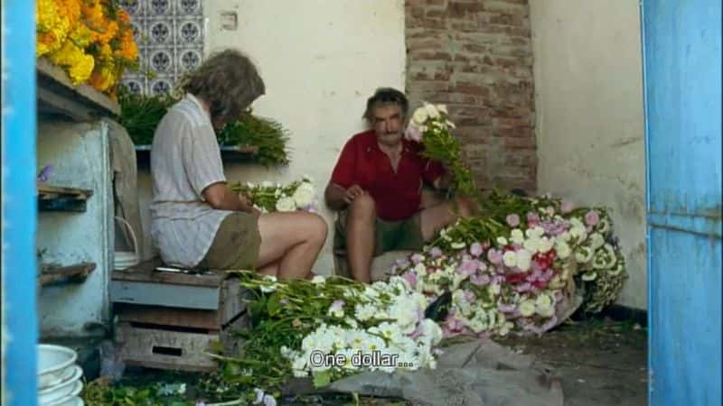 ¼Ƭ塤ϣ̳Ľѵ Pepe Mujica: Lessons from the FlowerbedĻ/Ļ