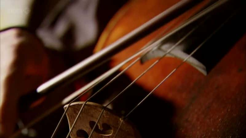 ¼Ƭ˹޲ά棺 Rostropovich: The Genius of the Cello1080P-Ļ/Ļ