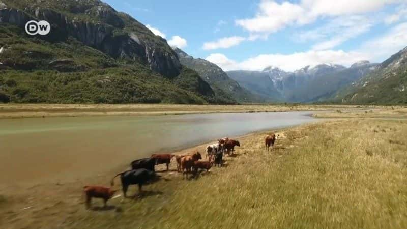 ¼Ƭ 7 Ź· On Route 7 into the Heart of Patagoniaȫ1-Ļ/Ļ