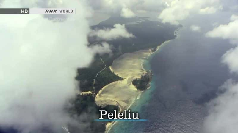 ¼Ƭ𵺣±ս Peleliu Island: Revisiting a Forgotten Battlefield1080Pȫ1-Ļ/Ļ