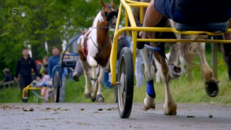 纪录片《我们的约克郡农场：在 Ravenseat 的 5 年 Our Yorkshire Farm: 5 Years at Ravenseat》[无字][BT][720P]资源下载