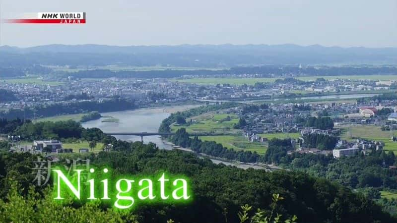 ¼Ƭкɫ Niigata: The Deep Green Summerȫ1-Ļ/Ļ