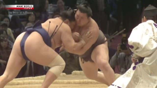 纪录片《横纲的骄傲 The Pride of Yokozuna》[无字] [BT][DVD画质]资源下载