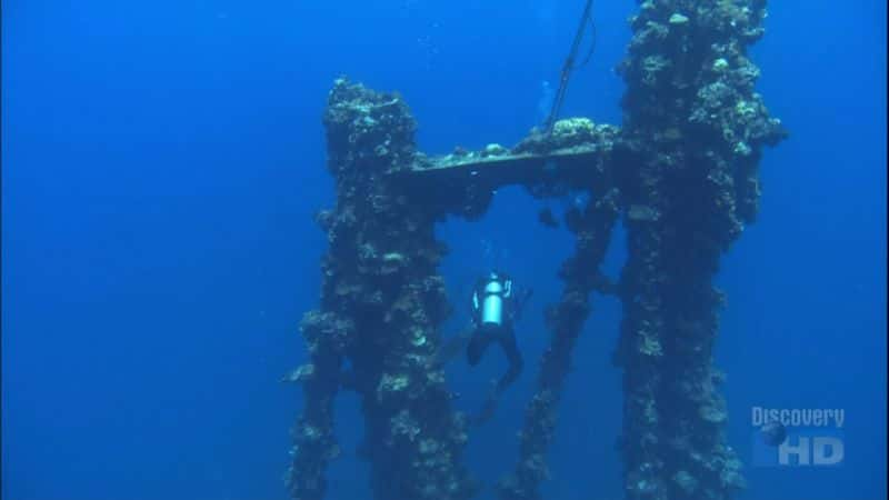 ¼Ƭʳߵã Paradise for Predators: Sharks of PalauĻ/Ļ