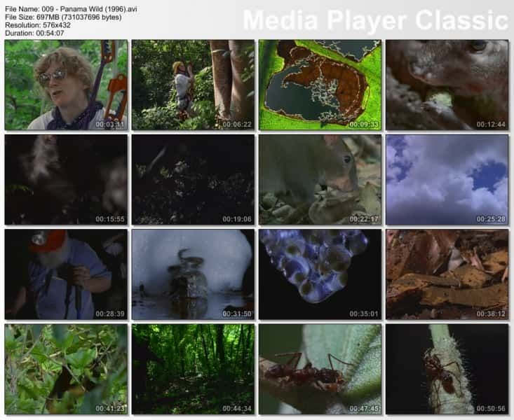 纪录片《巴拿马狂野 Panama Wild》[无字][BT][1080P]资源下载