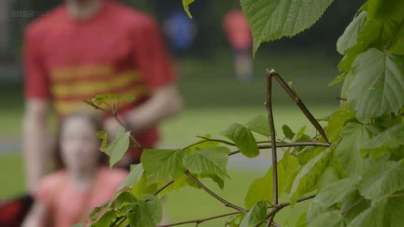 ¼Ƭ The Power of Parkrun1080Pȫ1-Ļ/Ļ