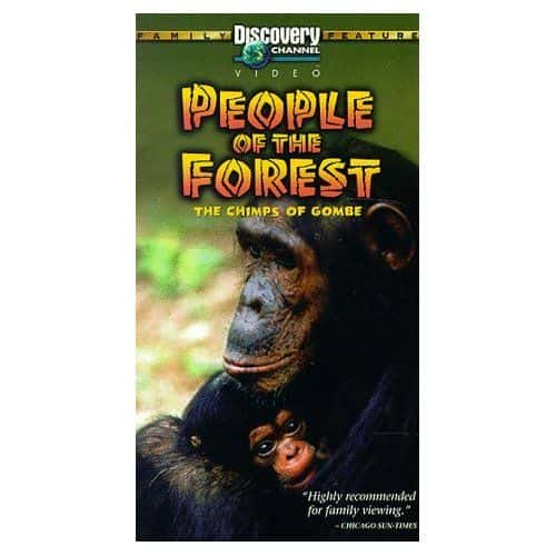 ¼Ƭɭˣĺ People of the Forest: The Chimps of GombeĻ/Ļ