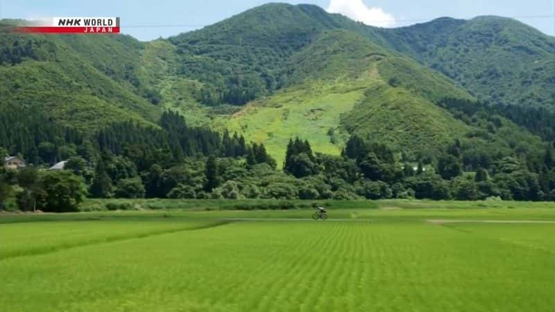 ¼Ƭкɫ Niigata: The Deep Green Summerȫ1-Ļ/Ļ