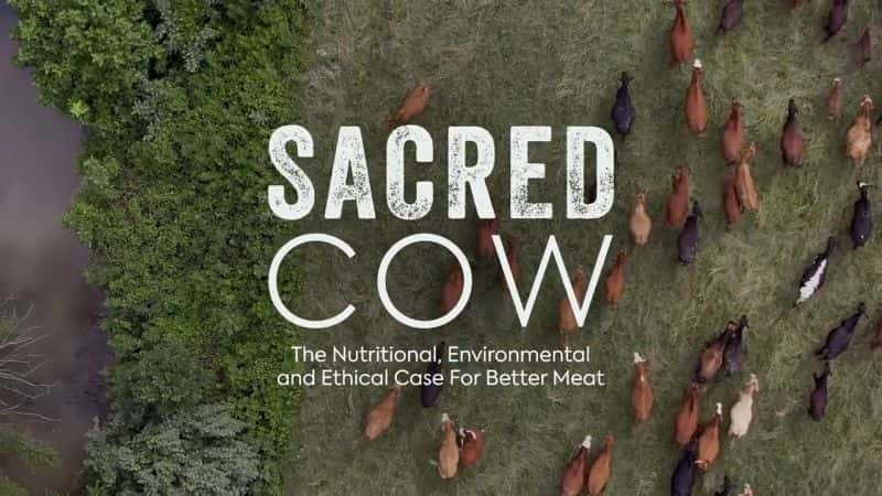 纪录片《圣牛 Sacred Cow》[无字][BT][DVD][720P]双画质资源下载