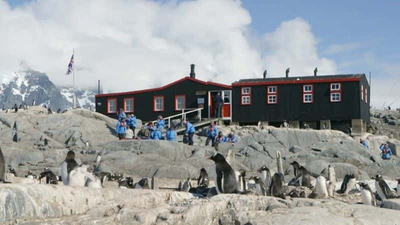 ¼Ƭʾ (BBC) Penguin Post Office (BBC)1080Pȫ1-Ļ/Ļ