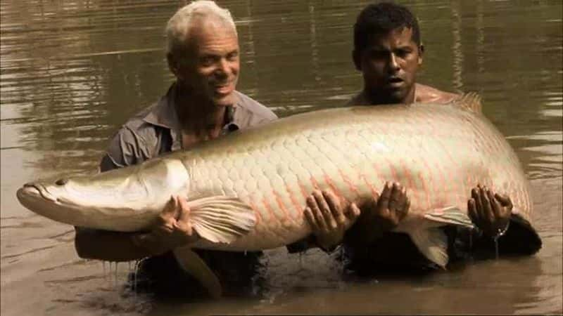 纪录片《河怪：系列 1 River Monsters: Series 1》[无字] [BT][DVD画质]资源下载