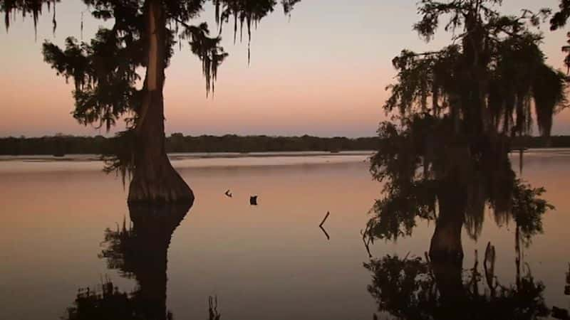 ¼Ƭ¶ӣǿȺ Ol Man River: The Mighty Mississippi1080P-Ļ/Ļ