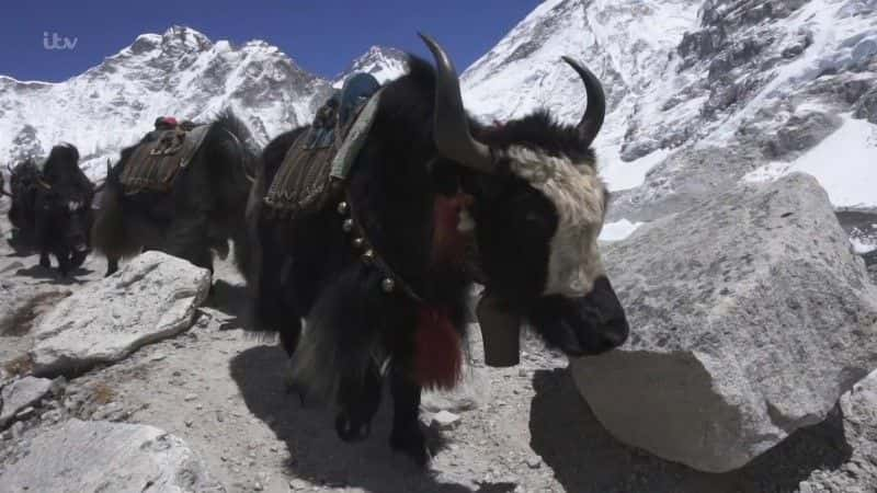 ¼Ƭǵս Our Everest Challengeȫ1-Ļ/Ļ