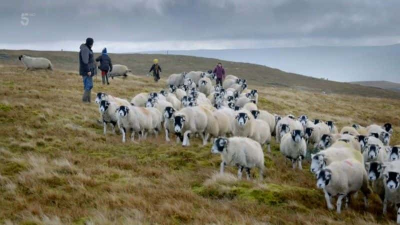 纪录片《我们的约克郡农场：在 Ravenseat 的 5 年 Our Yorkshire Farm: 5 Years at Ravenseat》[无字][BT][720P]资源下载