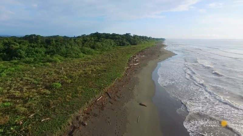 纪录片《巴拿马的动物高速公路 Panama's Animal Highway》[无字][BT][1080P]资源下载